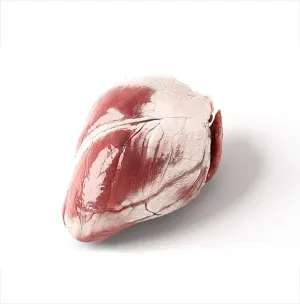 Corazón de cordero Eco 500 g