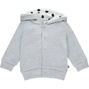 Grey Hoodie with Polka Dot Lining (Retired)