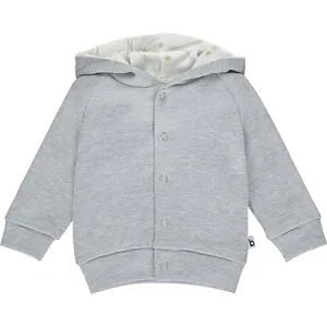 Grey Hoodie with Star Lining (Retired)