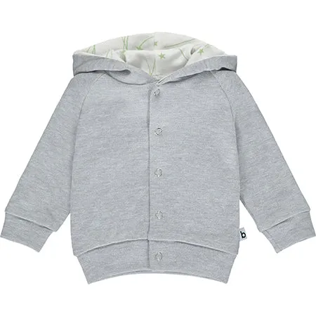 Grey Hoodie with Star Lining (Retired)