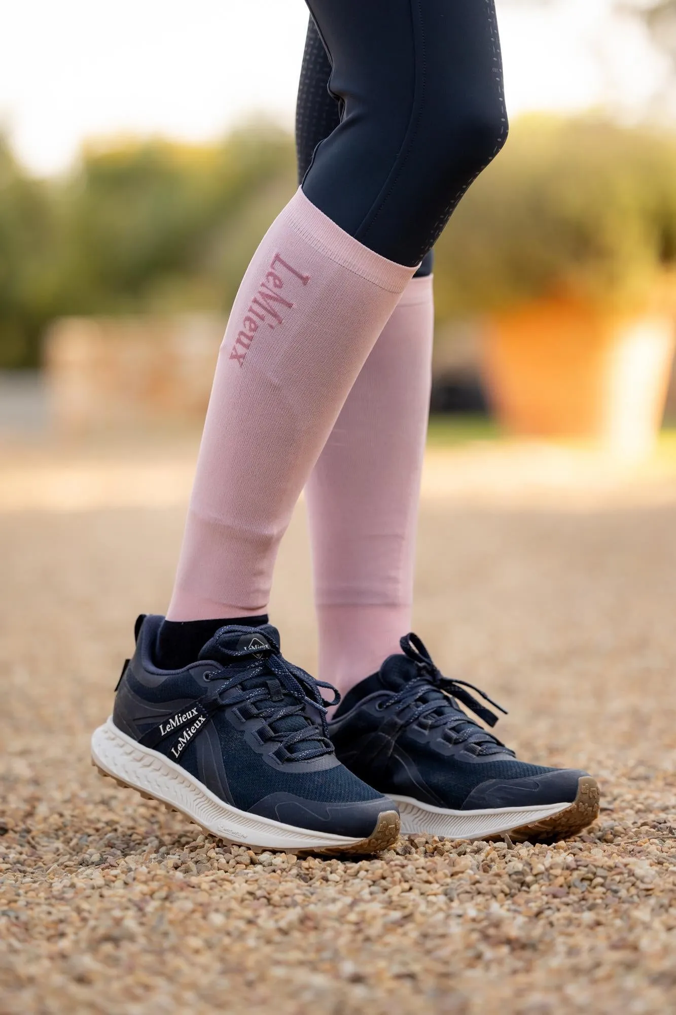 LeMieux Competition Socks 2 pack Blossom