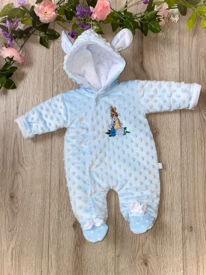 Peter Rabbit All in One Hooded Pram Suit
