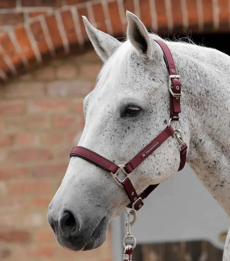 Premier Equine Padded Halter (6006)