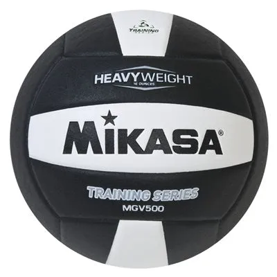 Setter's Training Volleyball