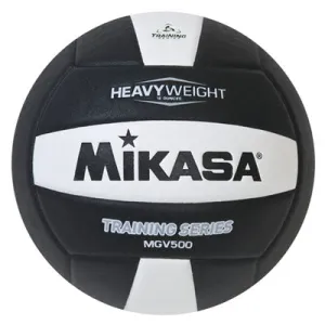 Setter's Training Volleyball